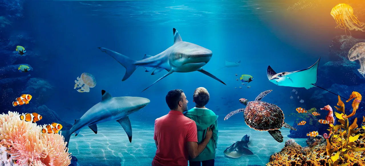 SEA LIFE Manchester photo 1