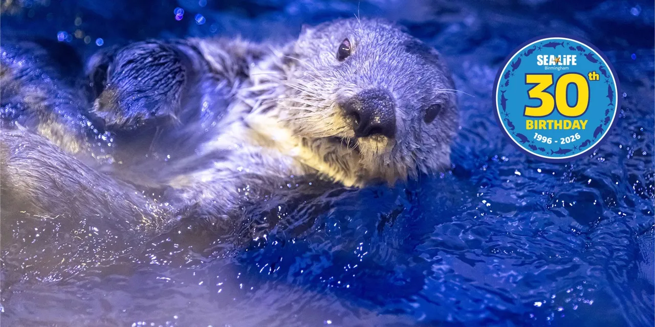 National SEA LIFE Centre Birmingham photo 1
