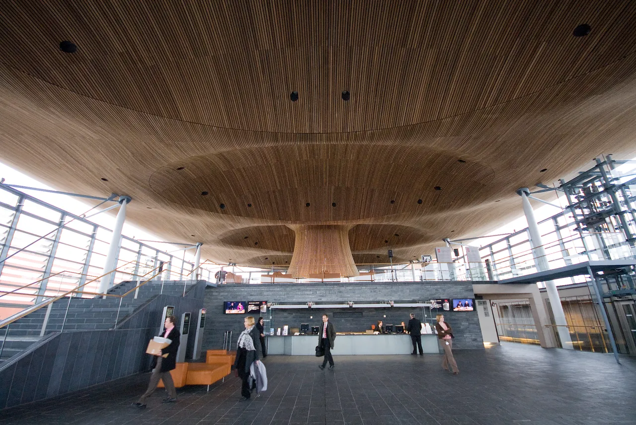 The Senedd photo 1
