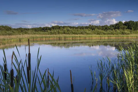 Potteric Carr nature reserve photo 1