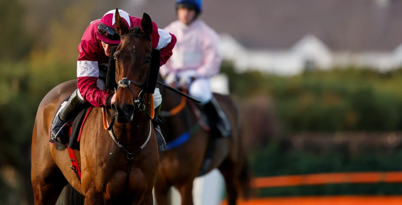 Down Royal Racecourse photo 1