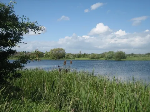 Nene Wetlands Visitor Centre photo 1