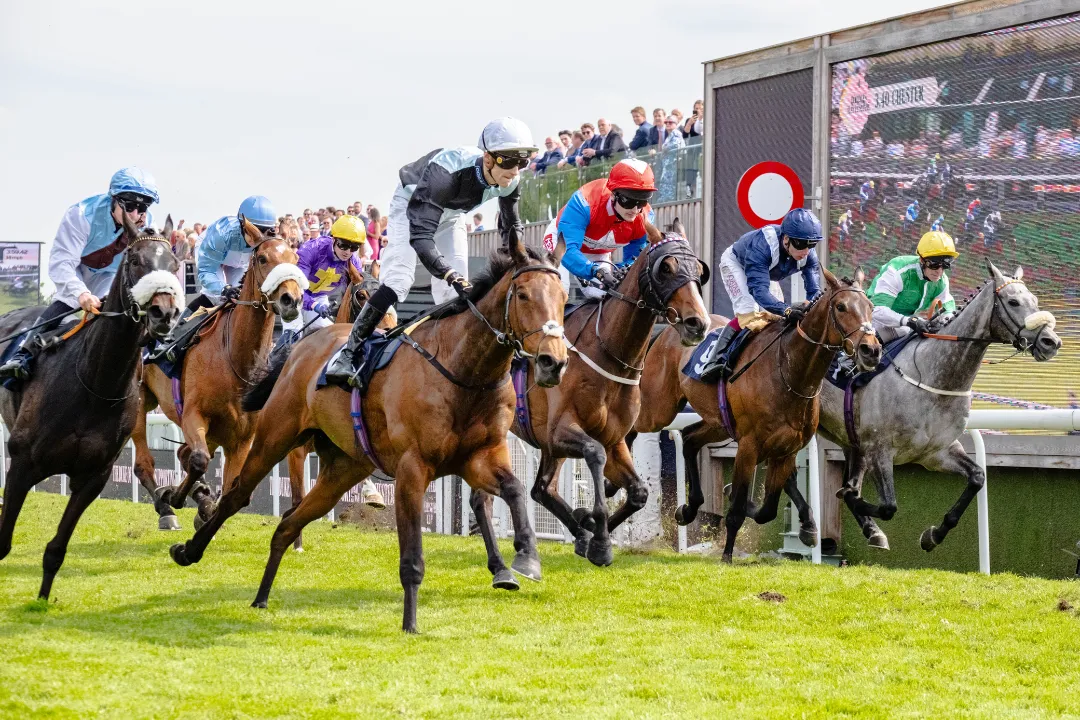 Chester Racecourse photo 1