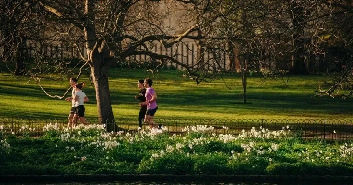 St James Park London photo 1