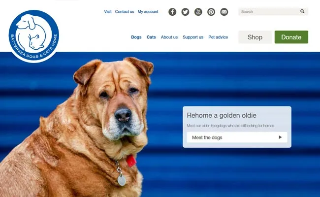 Battersea Dogs and Cats Home photo 1