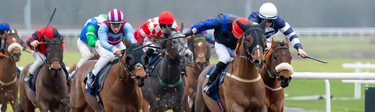 Wolverhampton Racecourse photo 1