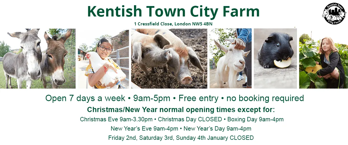 Kentish Town City Farm photo 1