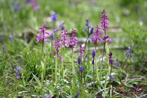 The Wolseley Centre photo 1