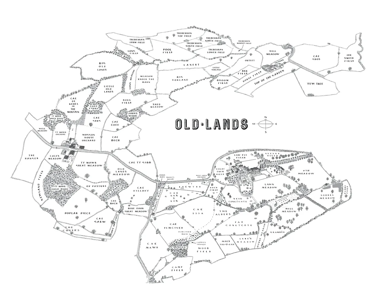 Old-Lands photo 1