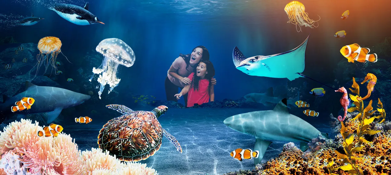 Sea Life photo 1
