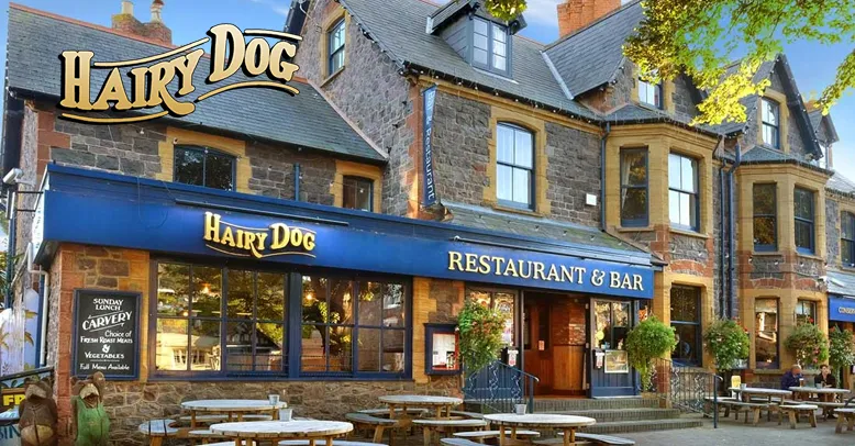 The Hairy Dog photo 1