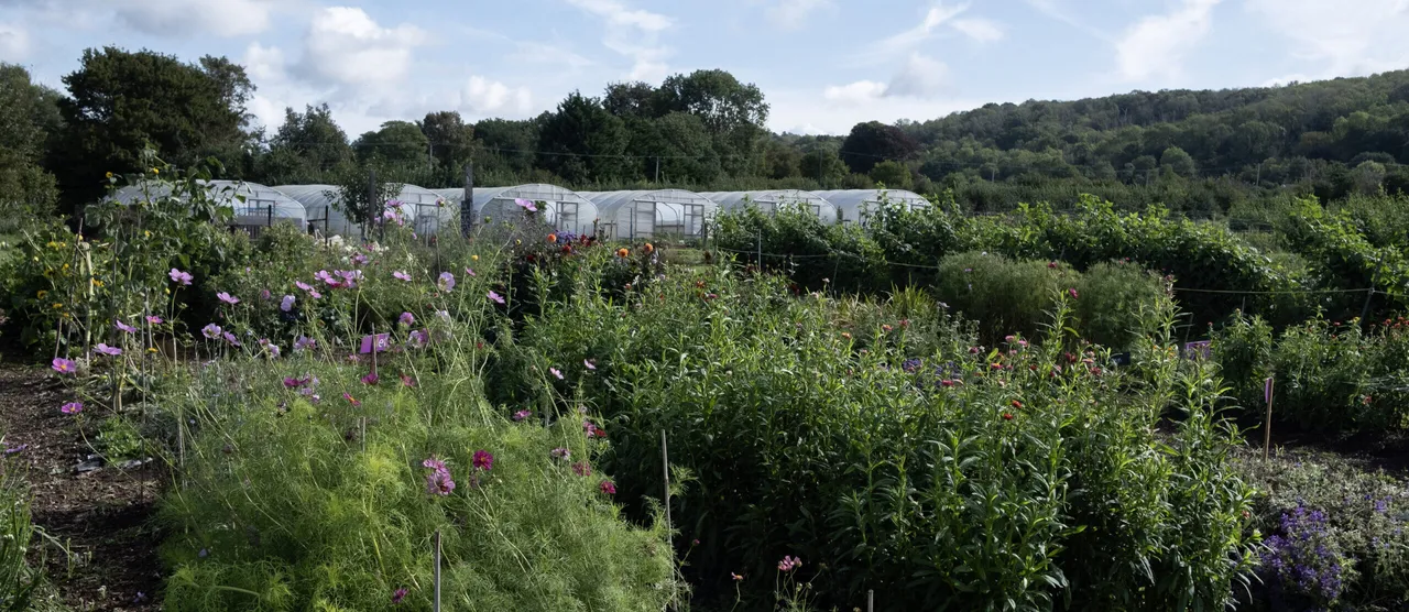 5 Acre Farm + shop photo 1