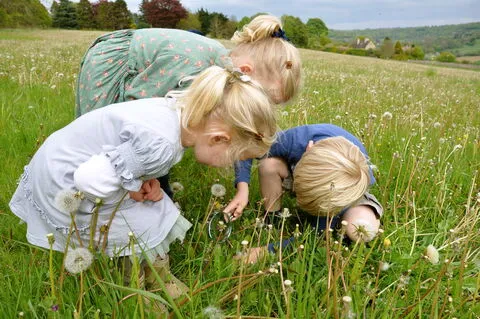 Bartonsham Meadows photo 1