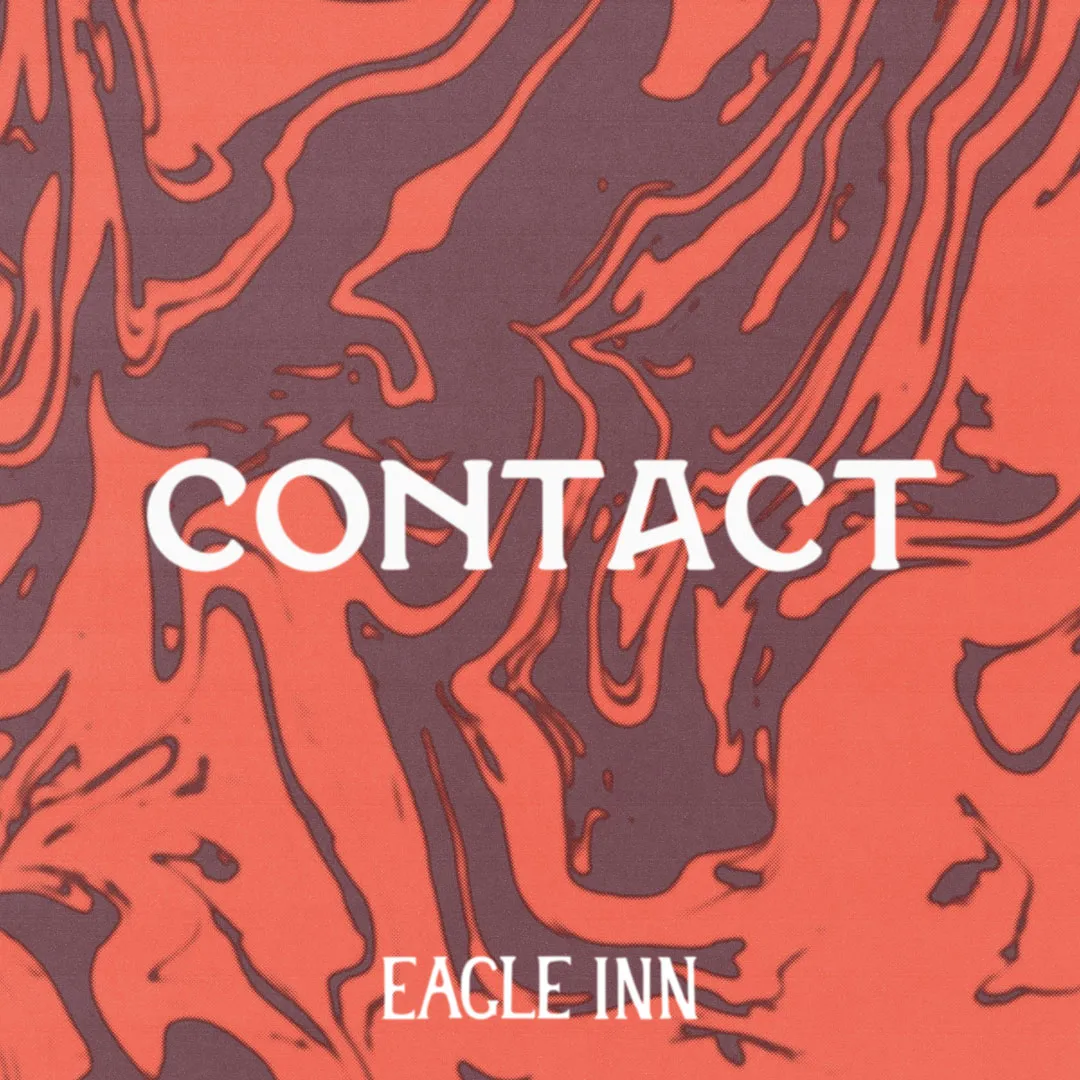 Eagle Inn photo 1