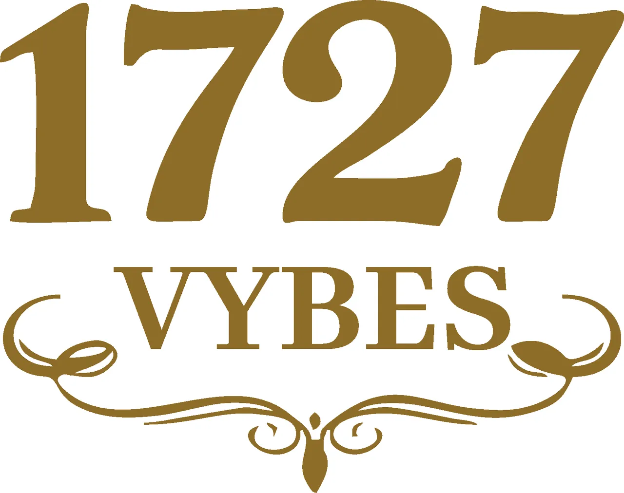 1727 Vybes photo 1