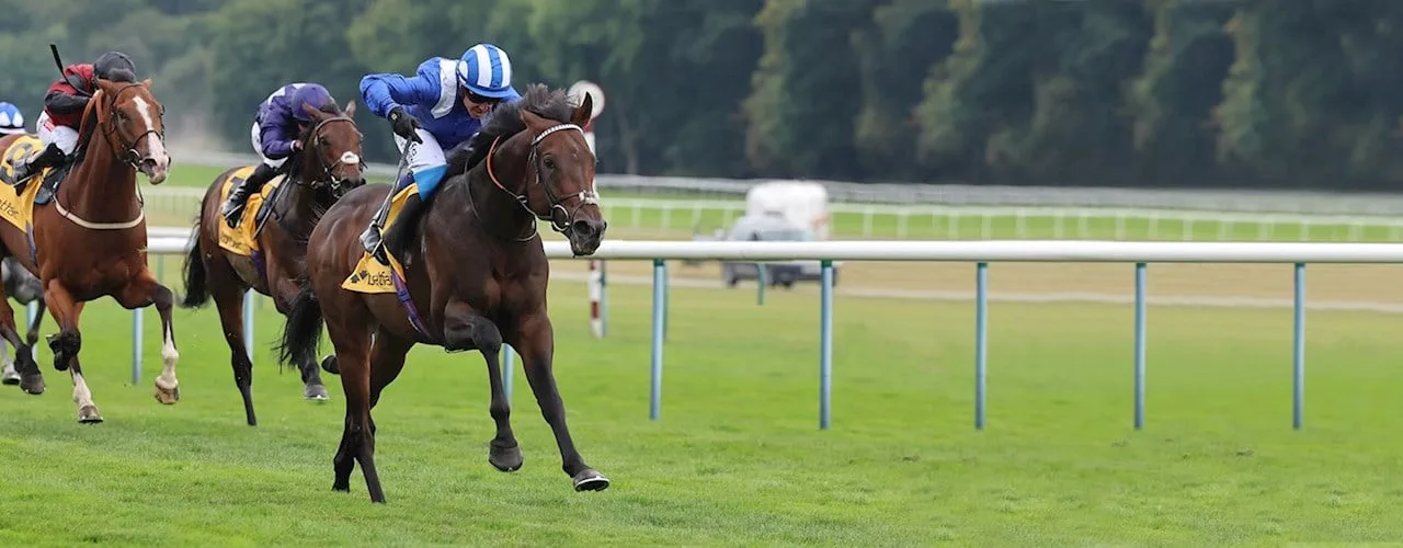 Haydock Park Racecourse photo 4