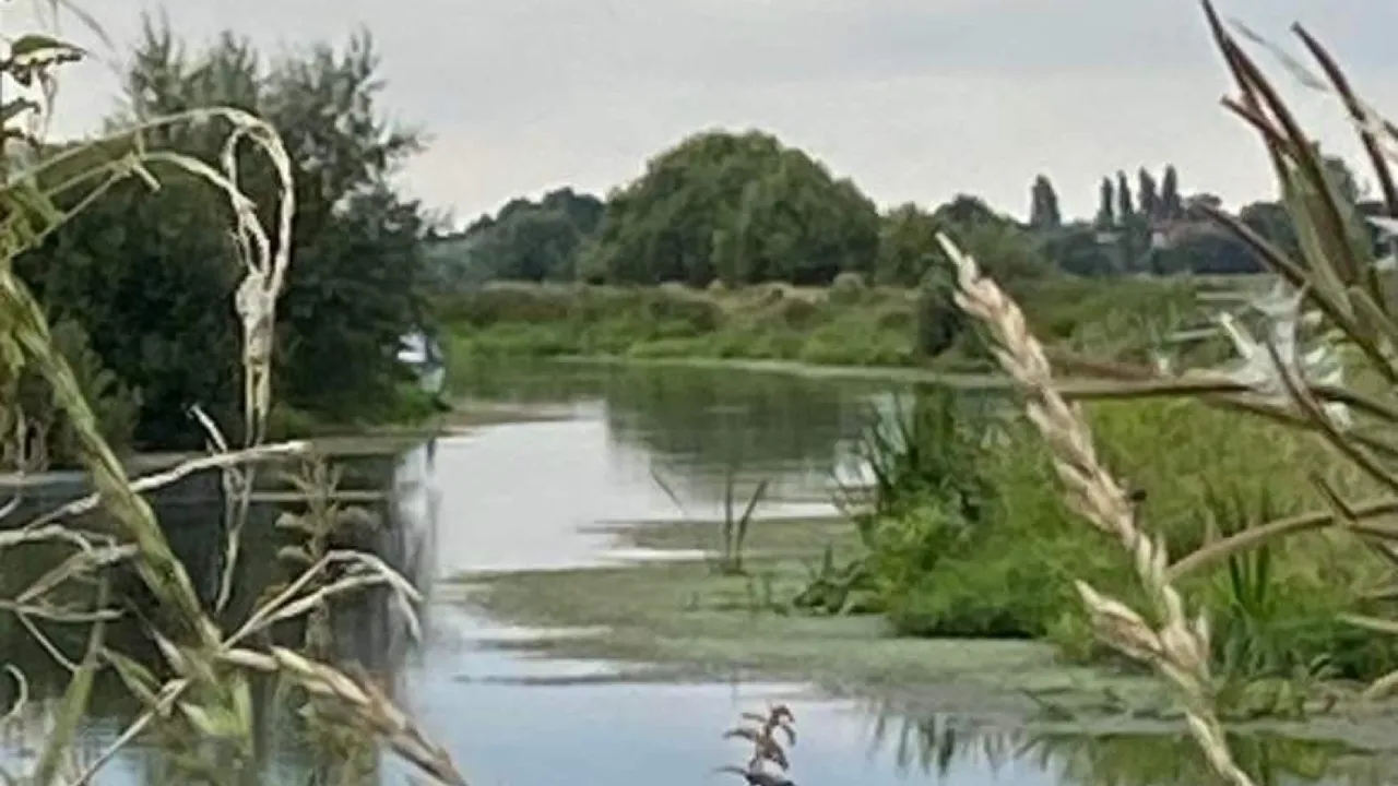 Walrow Ponds photo 1
