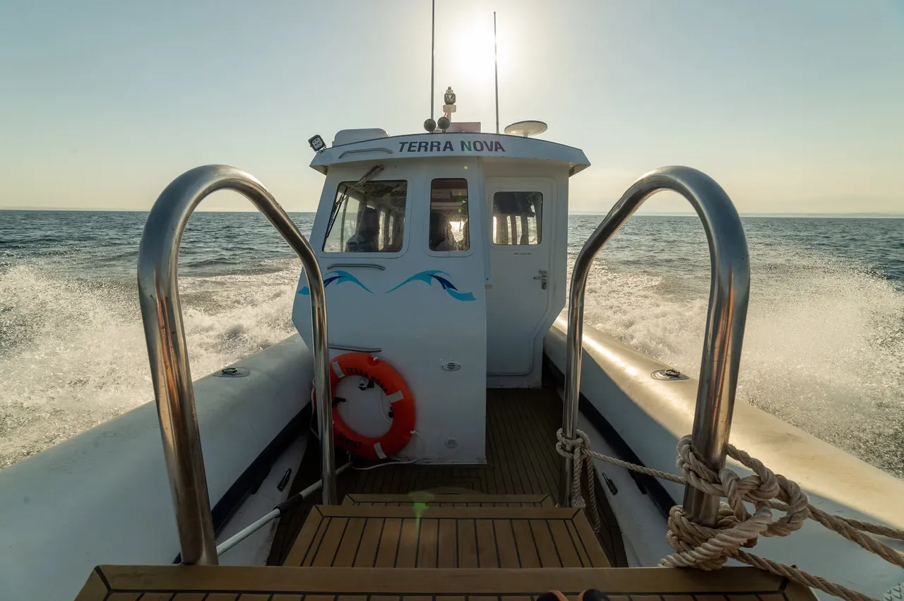 David Anderson Marine photo 1