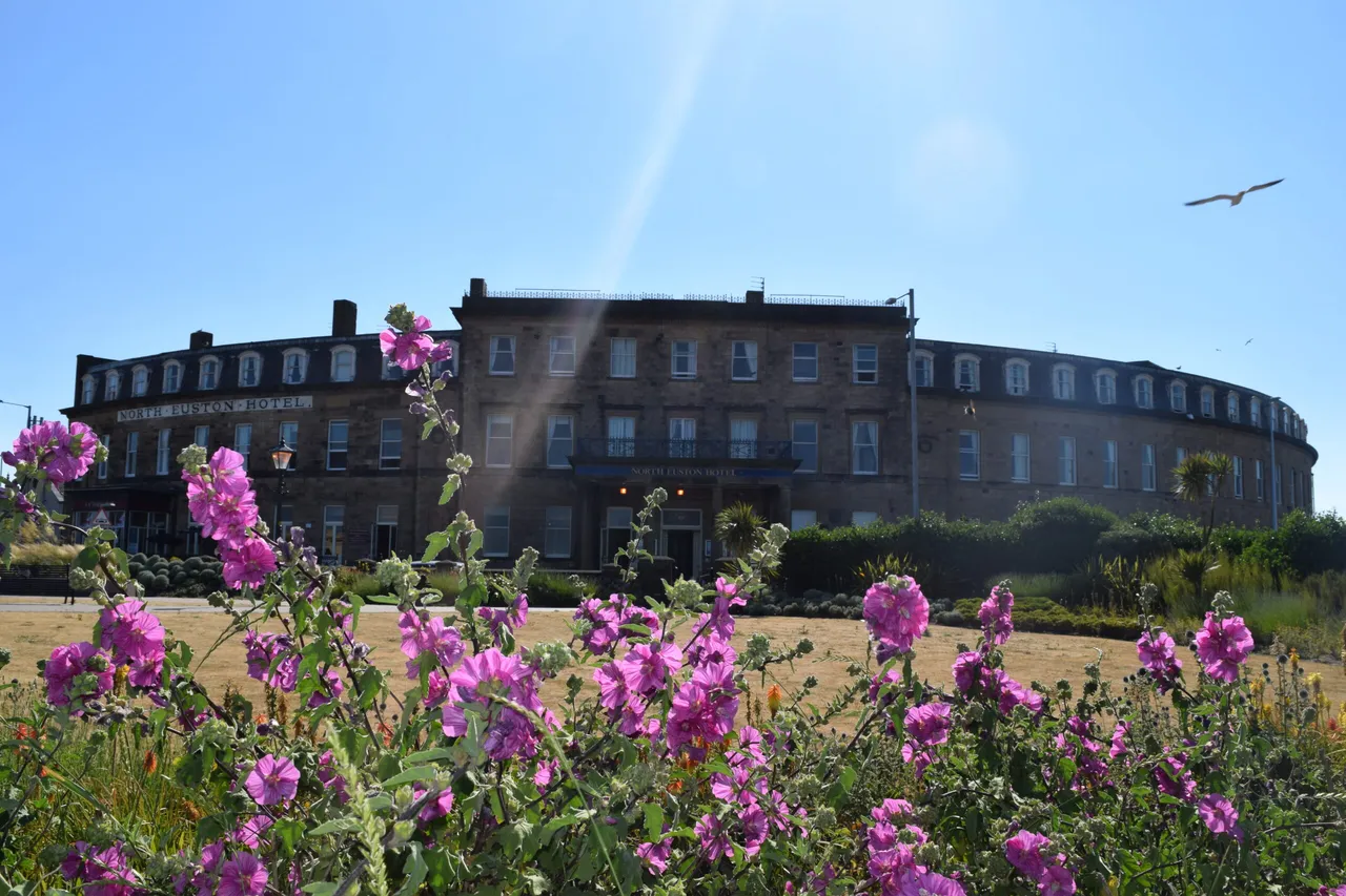 North Euston Hotel photo 1