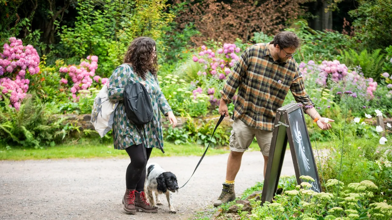 National Trust - Fyne Court photo 1