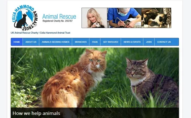 Celia Hammond Animal Trust photo 1