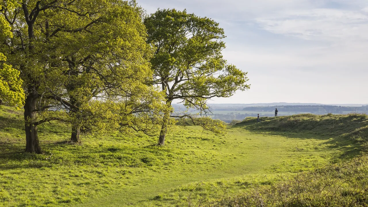 Badbury Rings photo 1