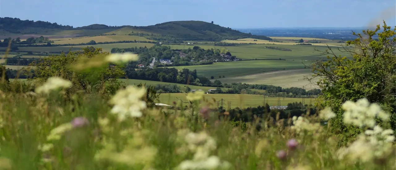 Dunstable Downs and Whipsnade Estate photo 1
