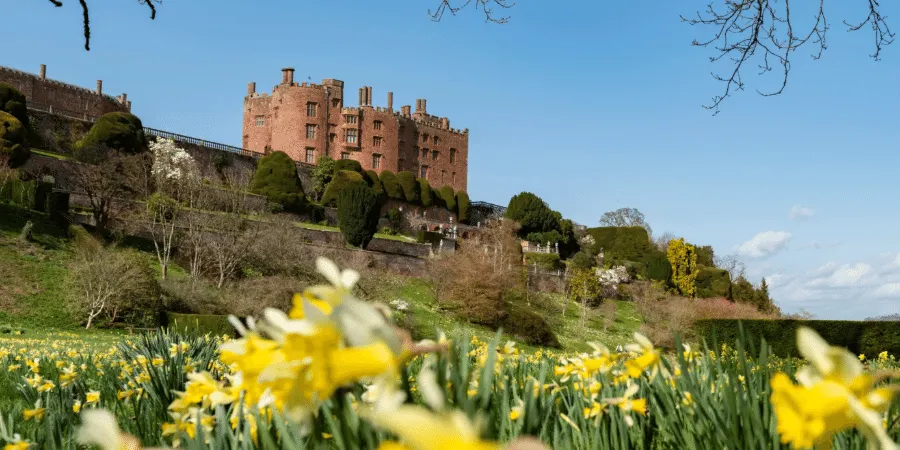 Powis Castle and Garden photo 1