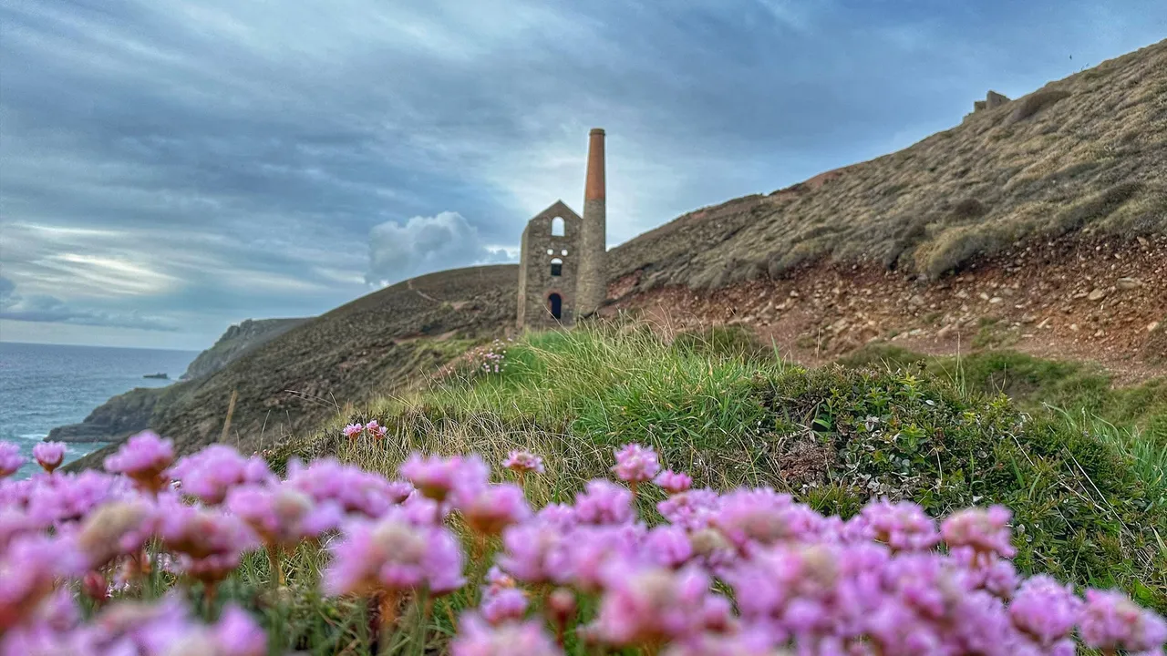 Wheal Coates photo 1