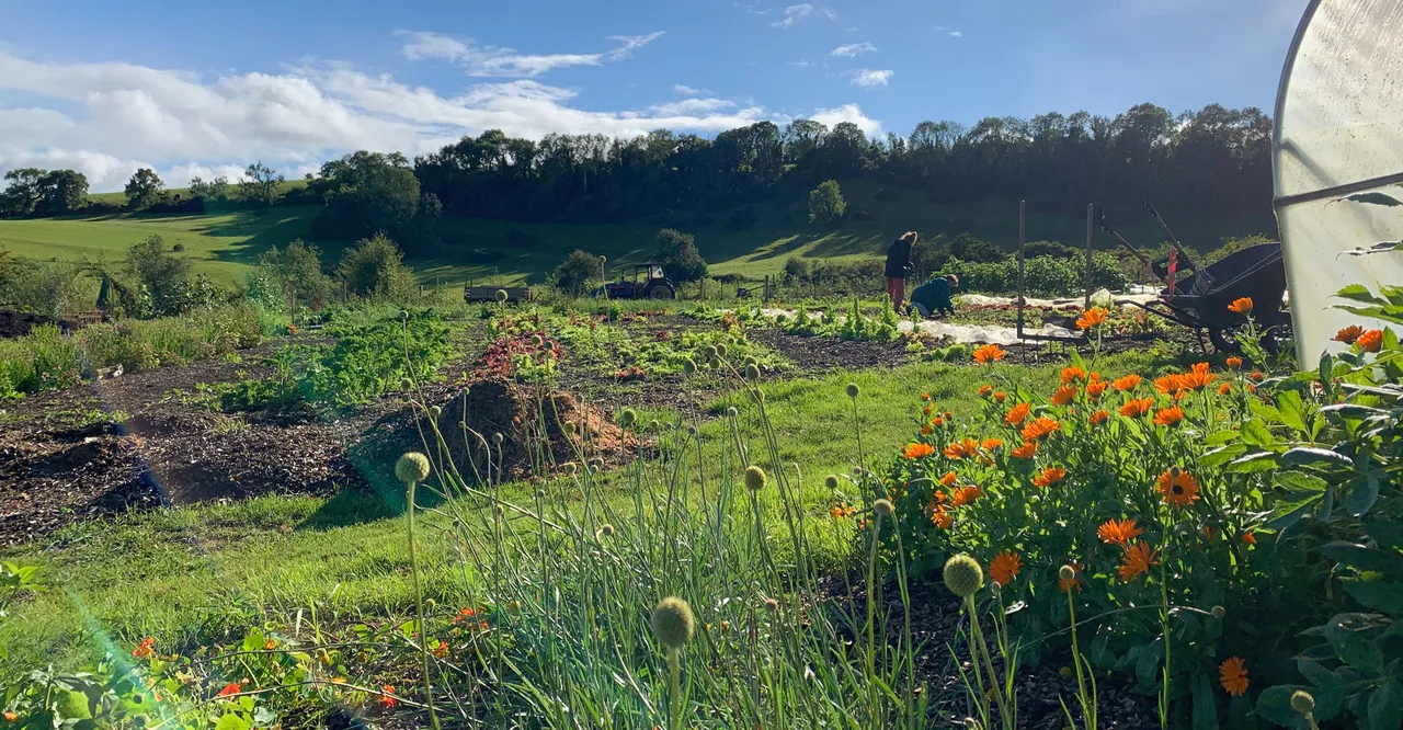 Weston Spring Farm photo 1