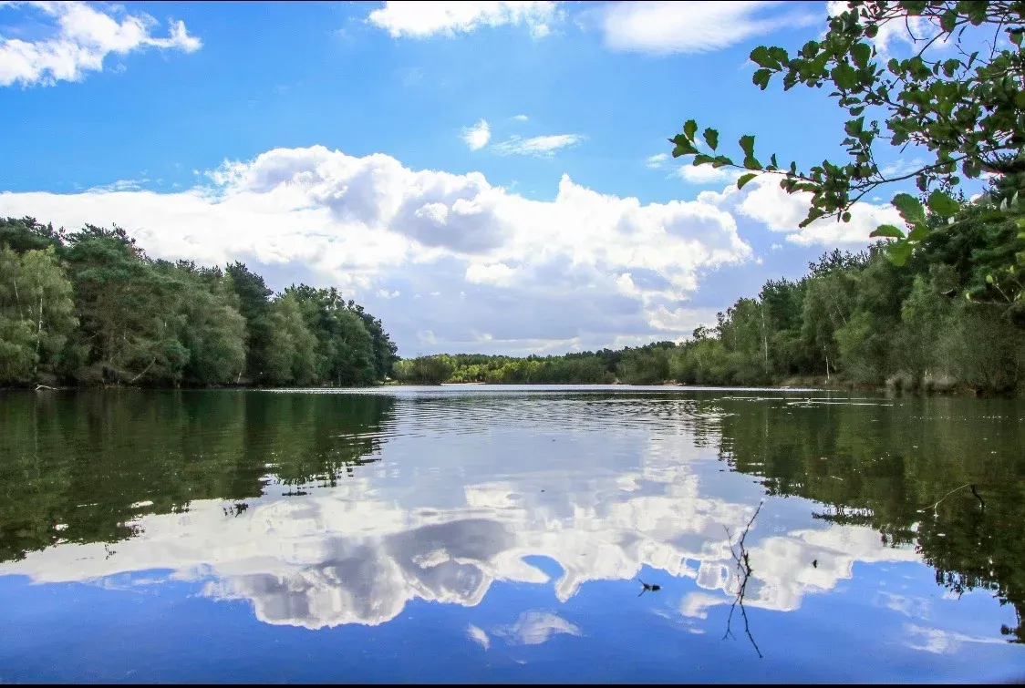 Bawsey Country Park photo 1