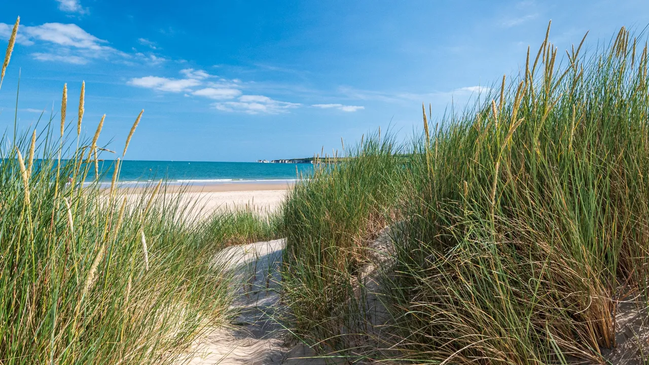 Knoll Beach photo 1