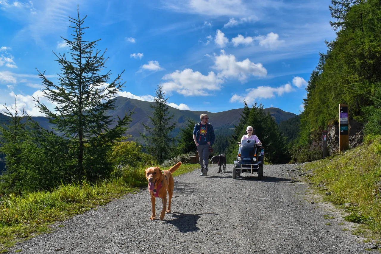 WHINLATTER FOREST photo 1