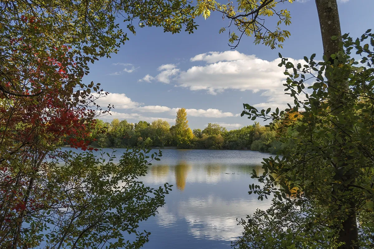 Cotswold Lakes photo 1