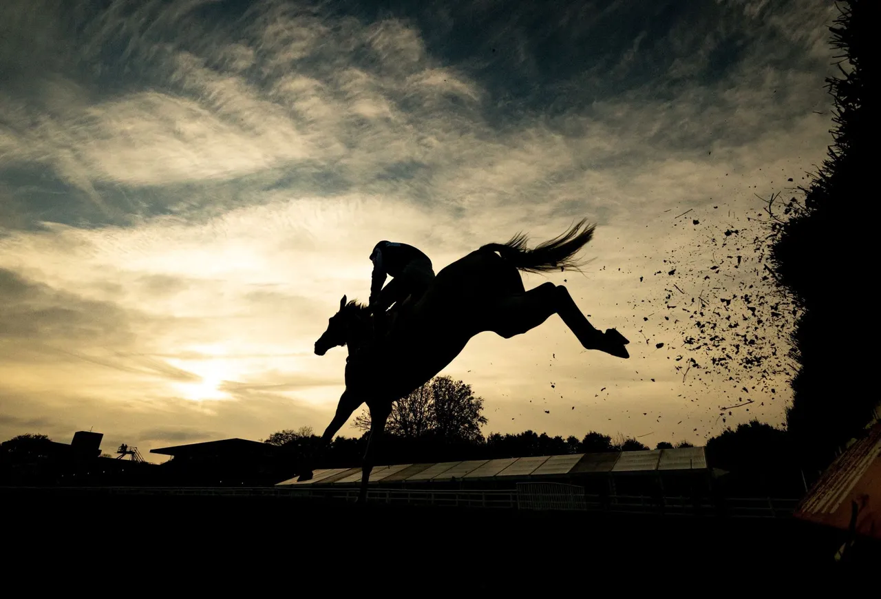Plumpton Racecourse photo 1