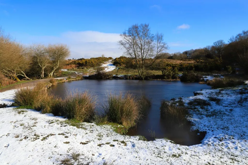 Ashdown Forest Centre photo 1