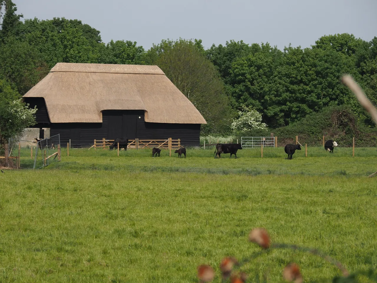 Tithe Barn photo 1