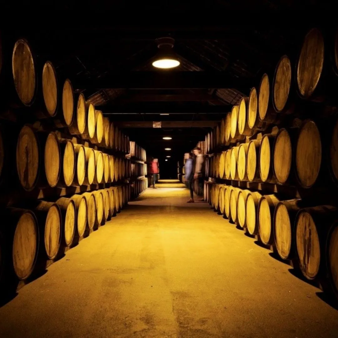 Midleton Distillery Experience photo 1