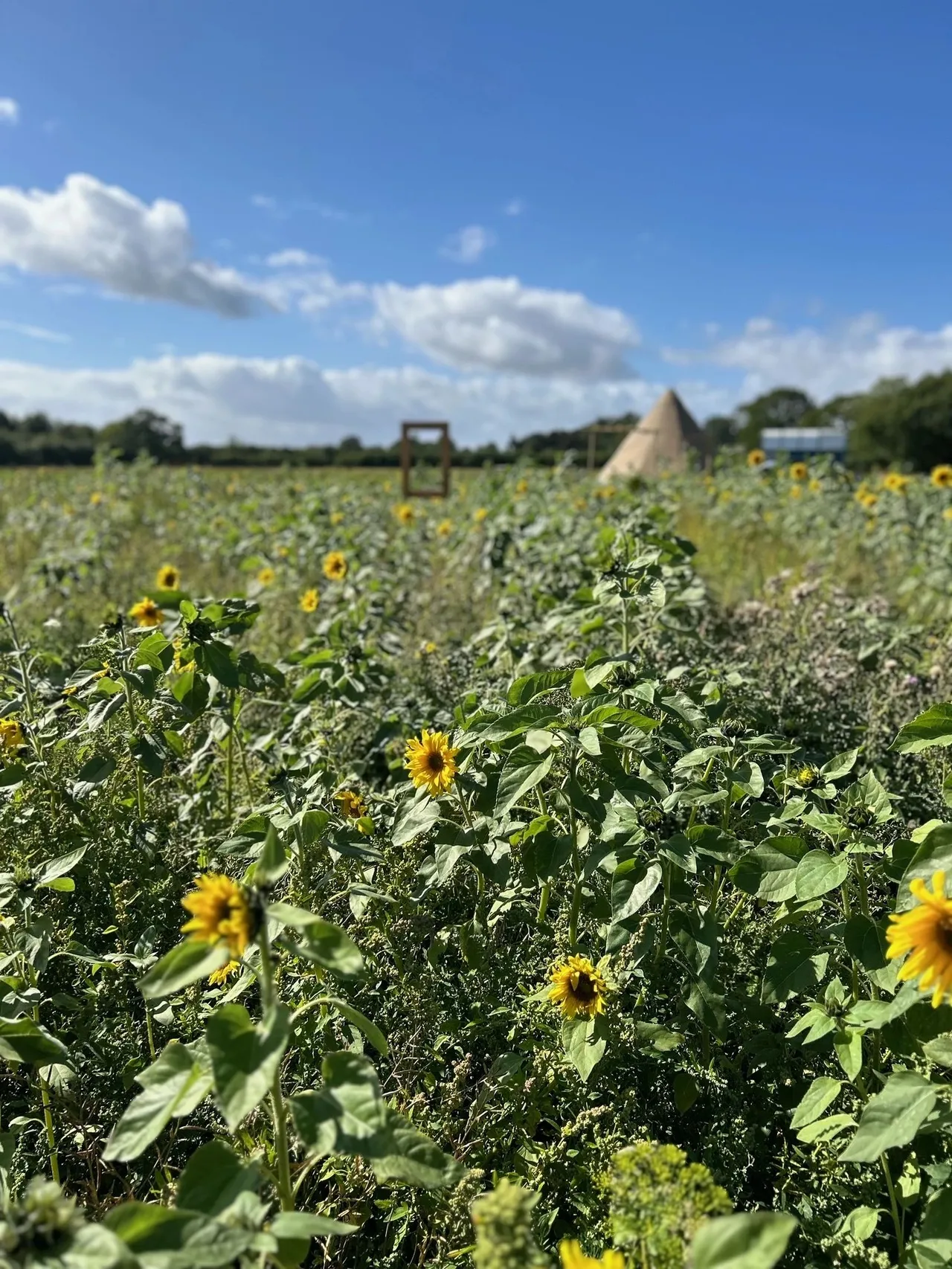 Tickton Farm photo 1