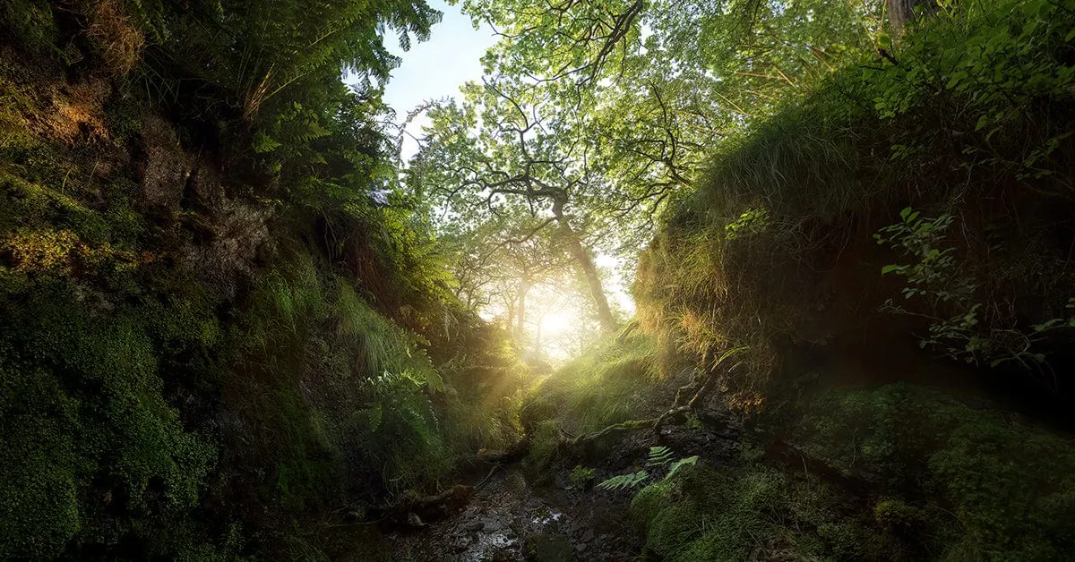 Alpkit Keswick photo 1