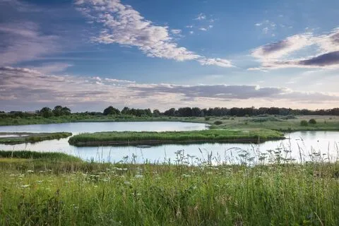 North Cave Wetlands photo 1