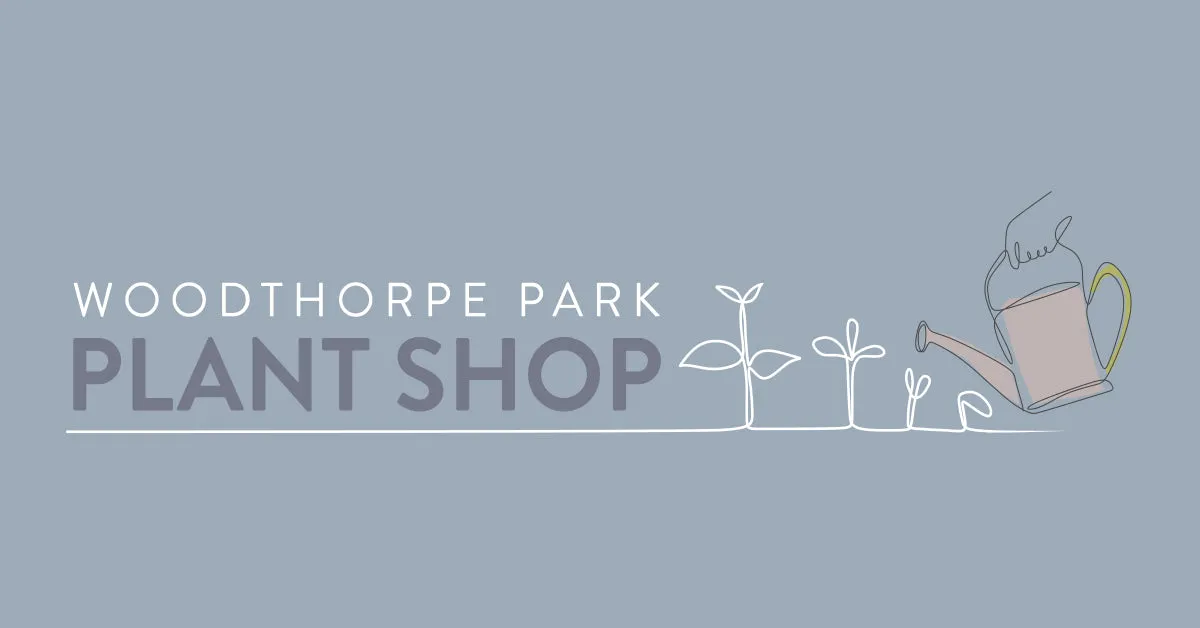 Woodthorpe Park Plant Shop photo 1
