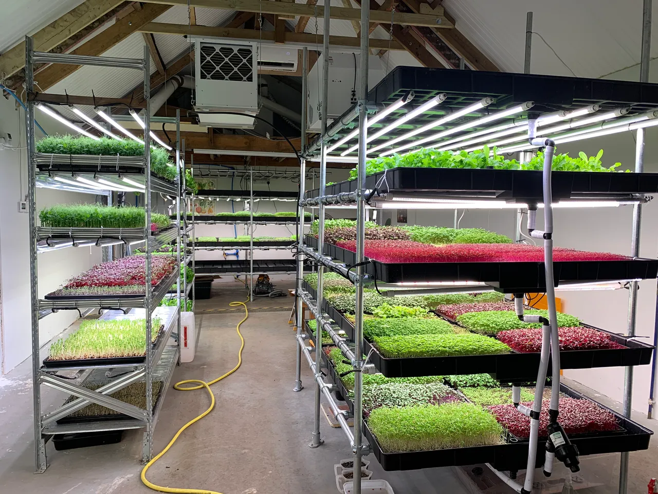 Lightfoot's Farm photo 1