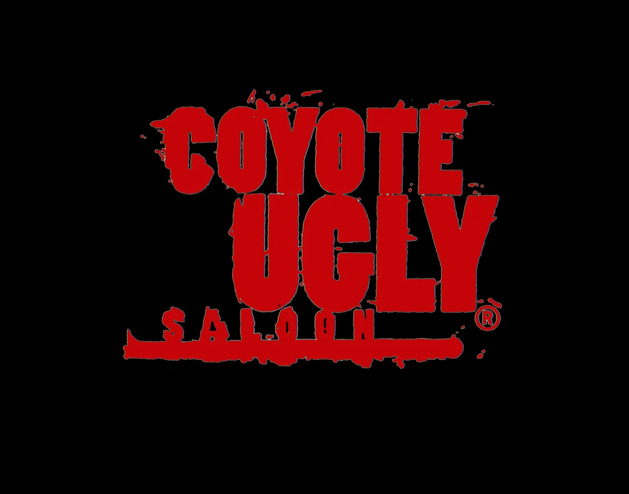 Coyote Ugly Cardiff photo 1
