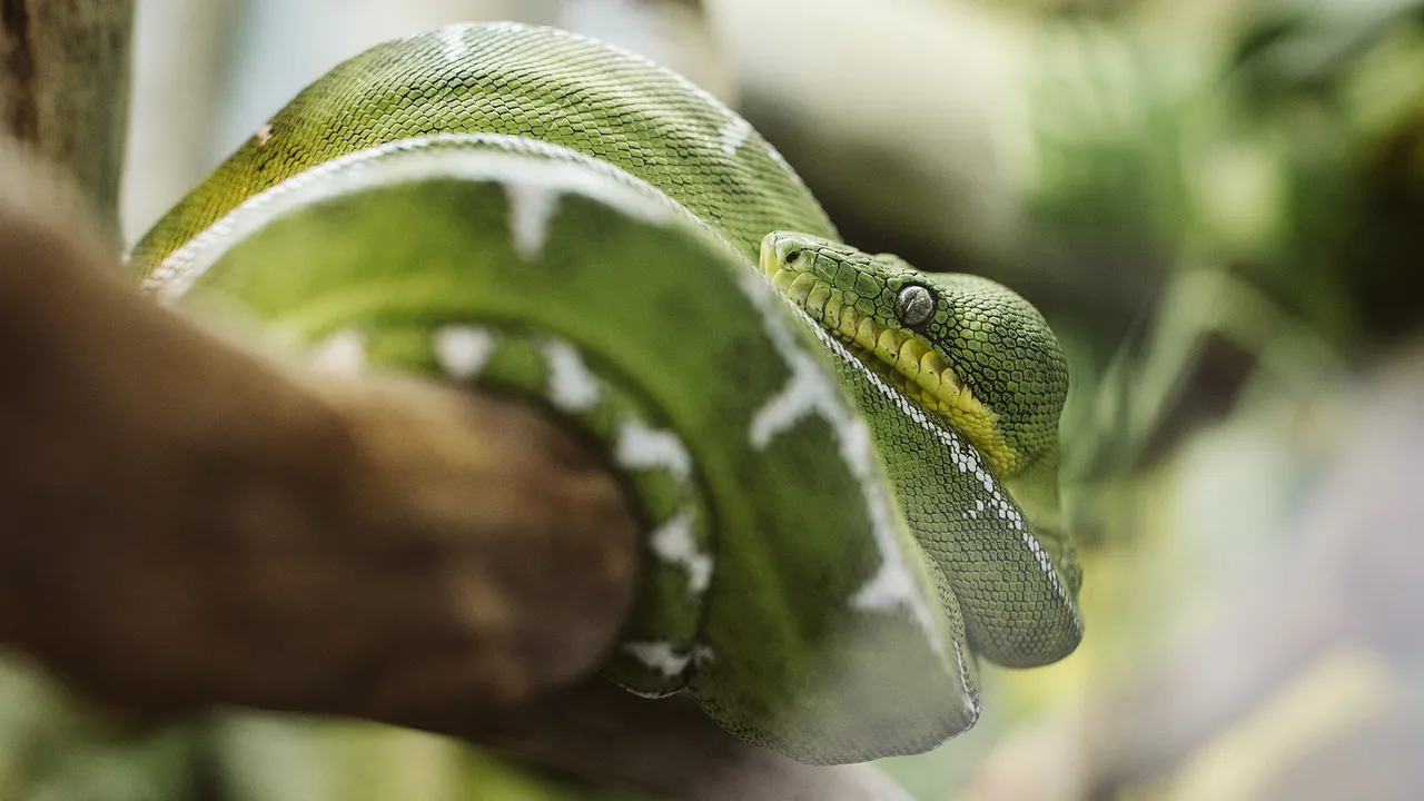 BCA Zoo photo 1