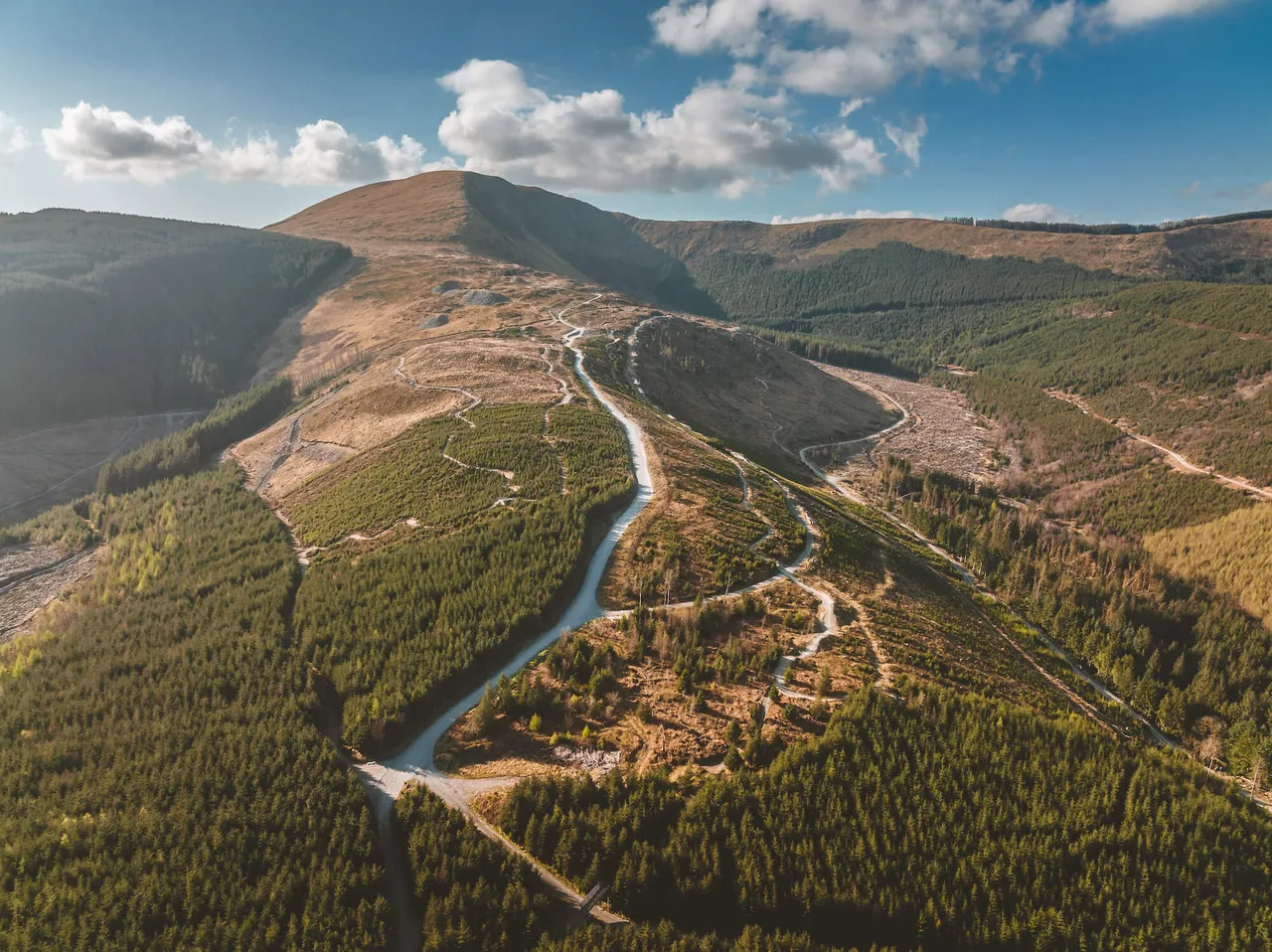 Dyfi Bike Park photo 1