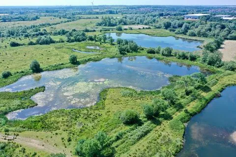 LRWT Cossington Meadows photo 1