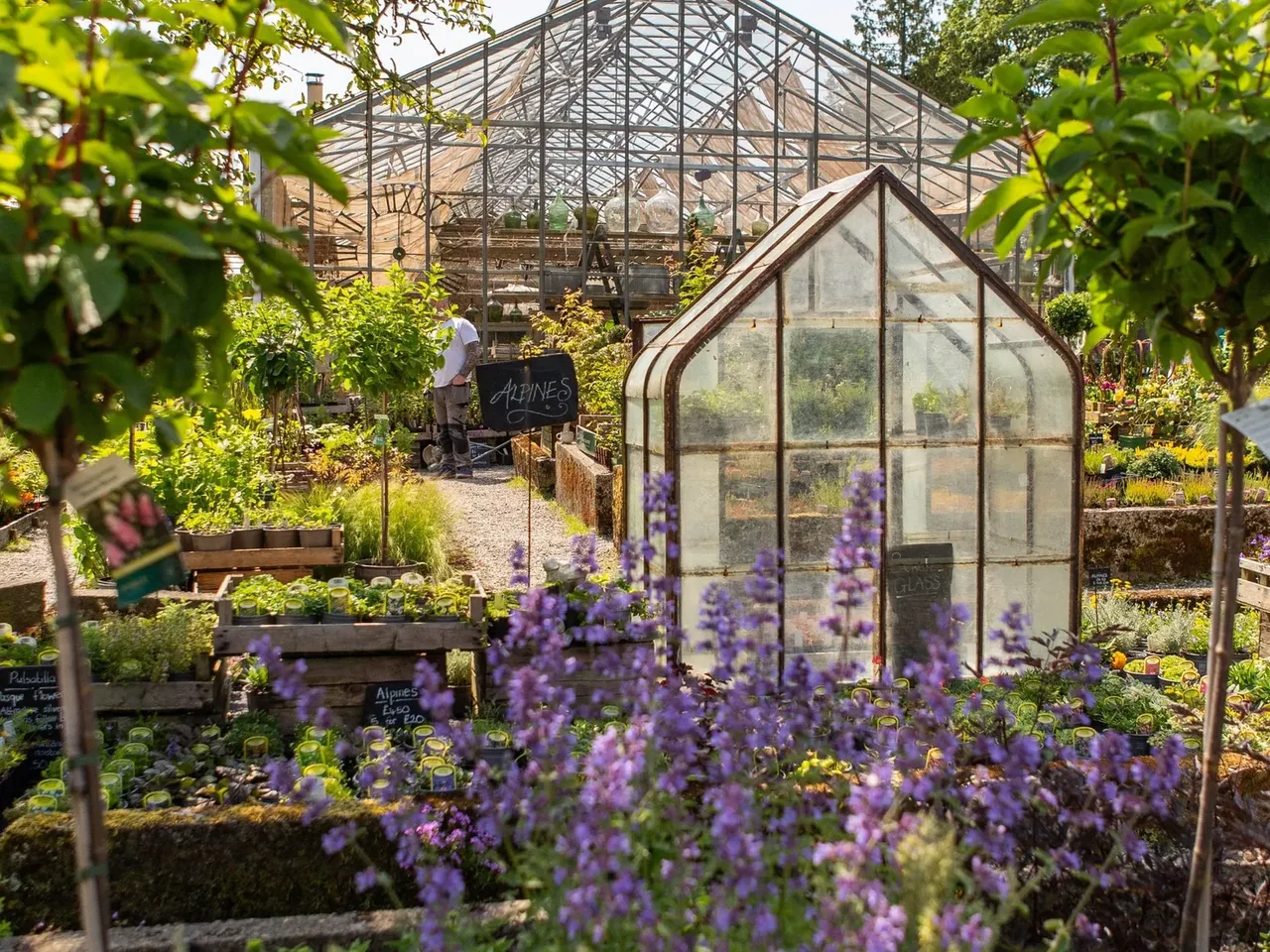 Holden Clough Nurseries photo 1
