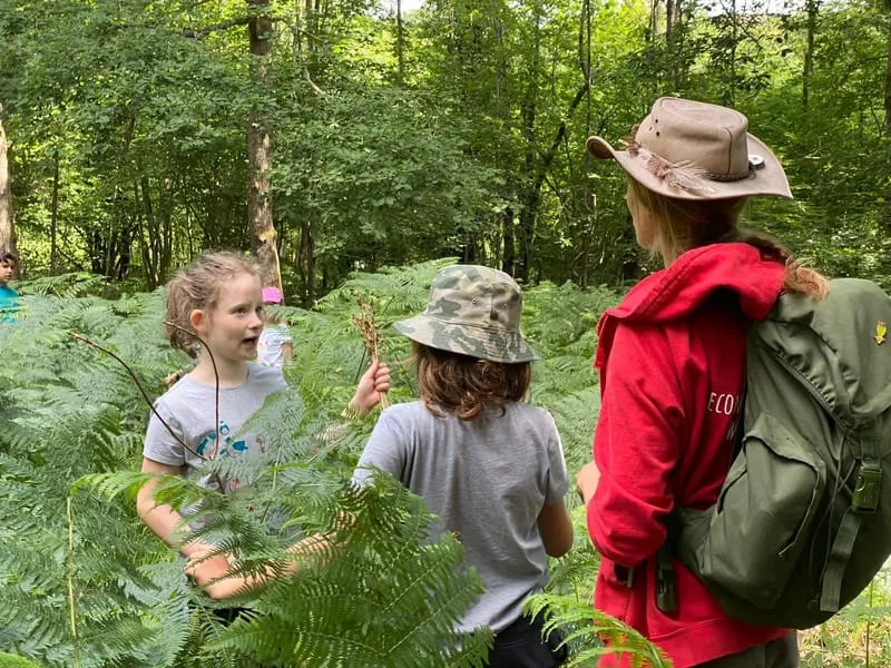 Heartwood Woodland Wellness photo 1