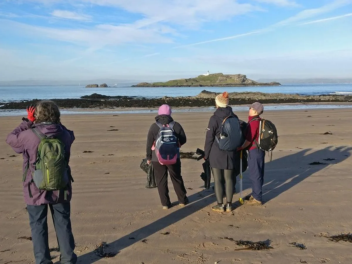 Coastal Wildlife Wander